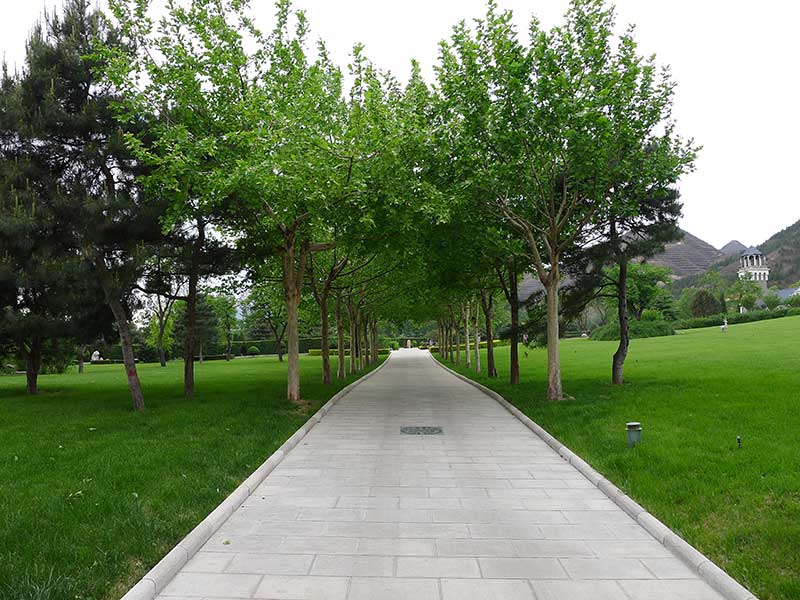 入园道路
