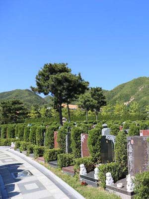 九里山公墓二区墓型